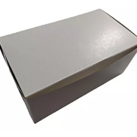 Caja Blanca 1/2 Brazo Tronco 21x14x11 X 5 Un